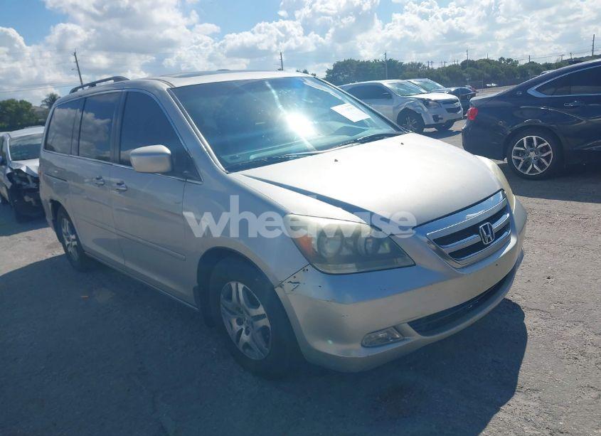 2005 Honda Odyssey EX-L (VIN 5FNRL38705B101095) main photo