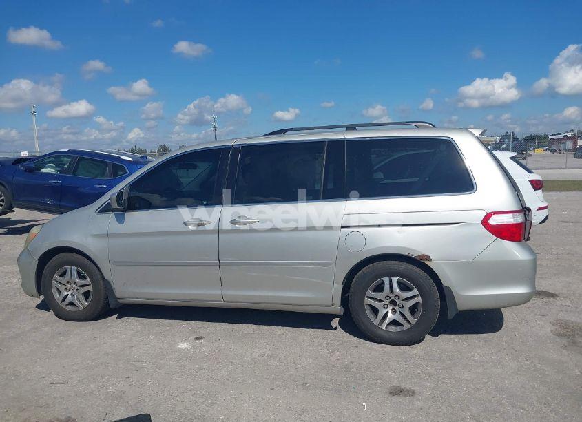 Photo 14 of 2005 Honda Odyssey EX-L (VIN 5FNRL38705B101095)