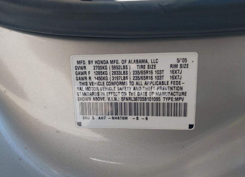 Photo 9 of 2005 Honda Odyssey EX-L (VIN 5FNRL38705B101095)