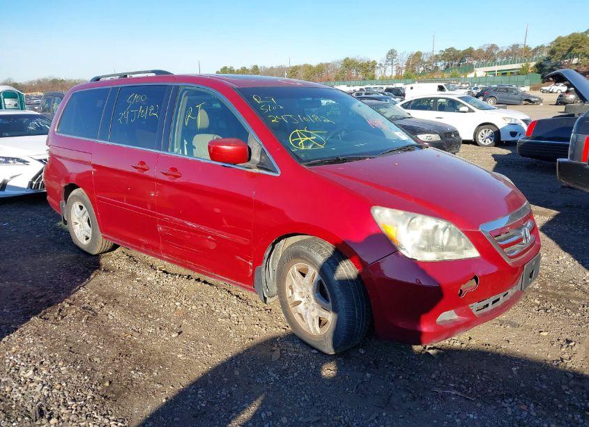 2005 Honda Odyssey EX-L (VIN 5FNRL38705B118608) main photo