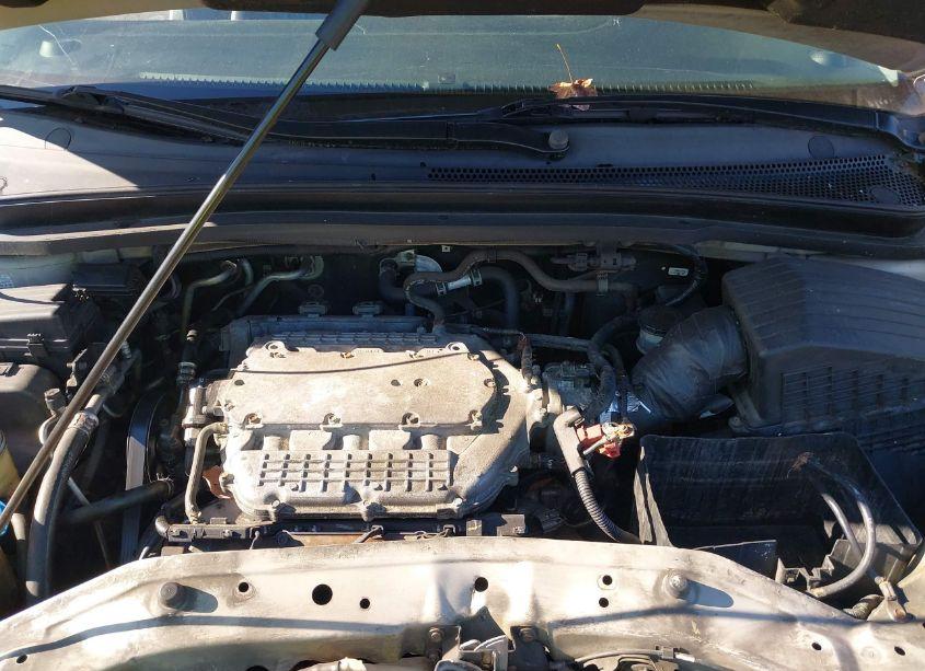 Photo 10 of 2006 Honda Odyssey EX-L (VIN 5FNRL38706B032409)