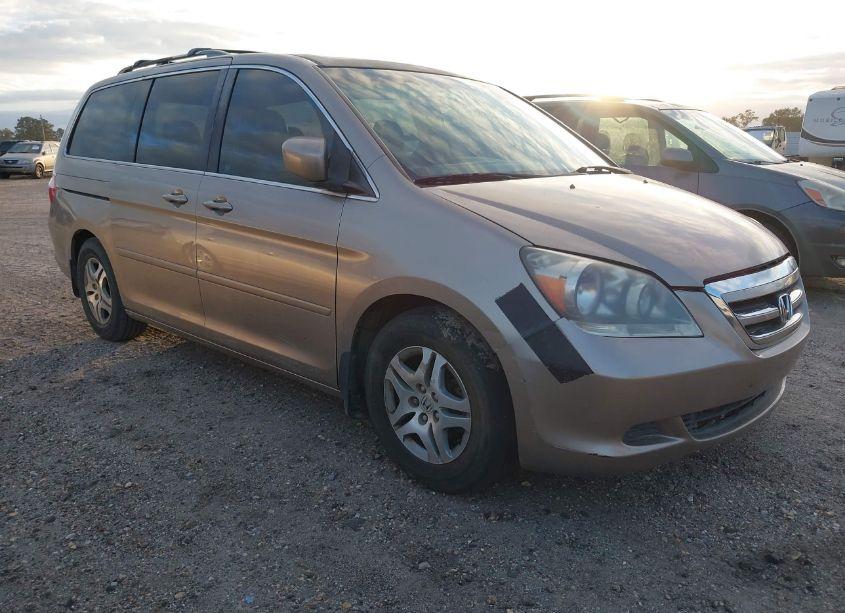 2006 Honda Odyssey EX-L (VIN 5FNRL38706B091086) main photo