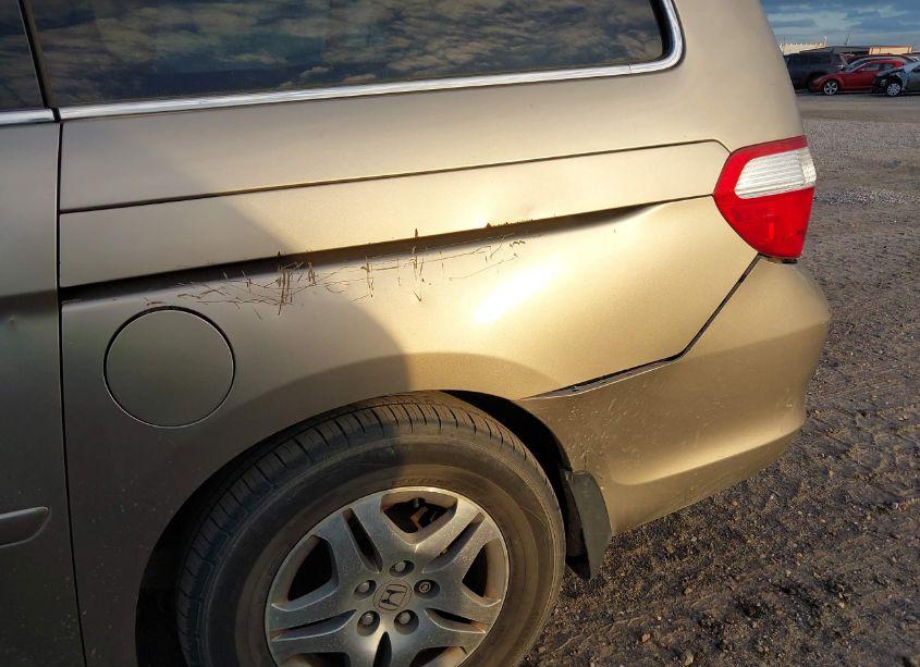 Photo 6 of 2006 Honda Odyssey EX-L (VIN 5FNRL38706B091086)