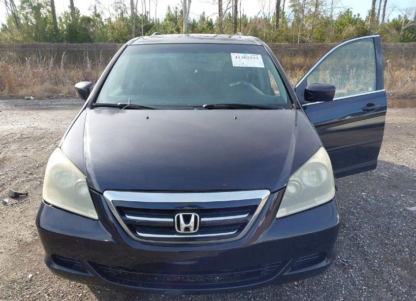 Photo 12 of 2006 Honda Odyssey EX-L (VIN 5FNRL38706B117153)