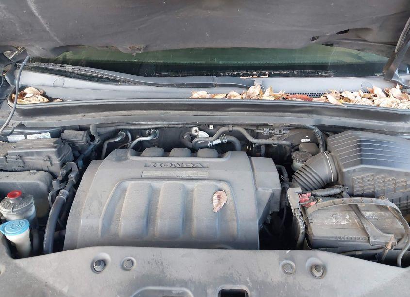 Photo 10 of 2006 Honda Odyssey EX-L (VIN 5FNRL38706B446046)