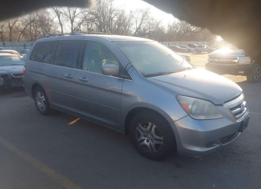 2007 Honda Odyssey EX-L (VIN 5FNRL38707B036381) main photo