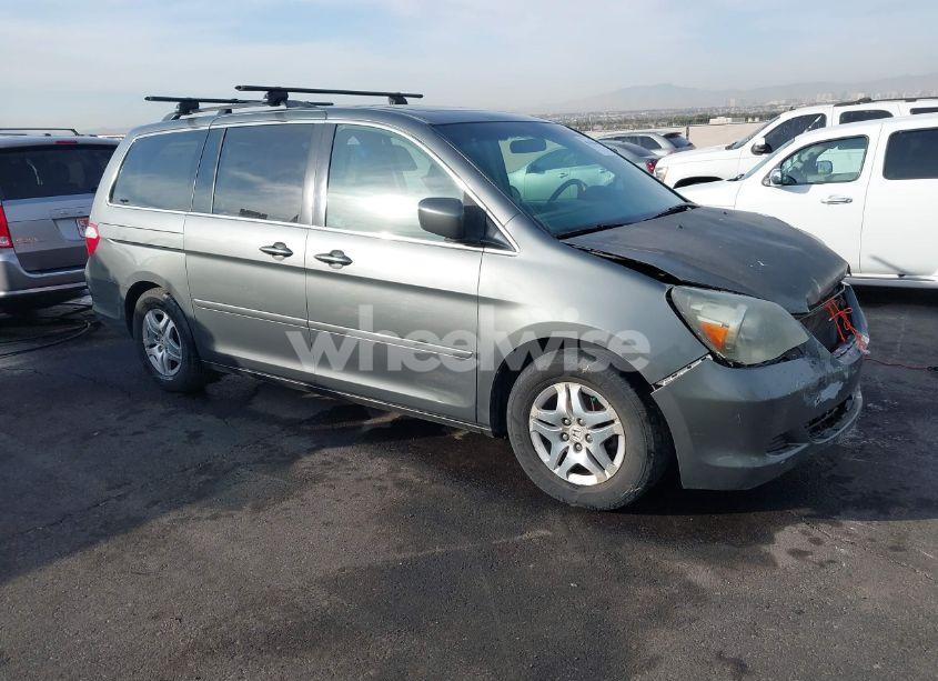 2007 Honda Odyssey EX-L (VIN 5FNRL38707B089954) main photo