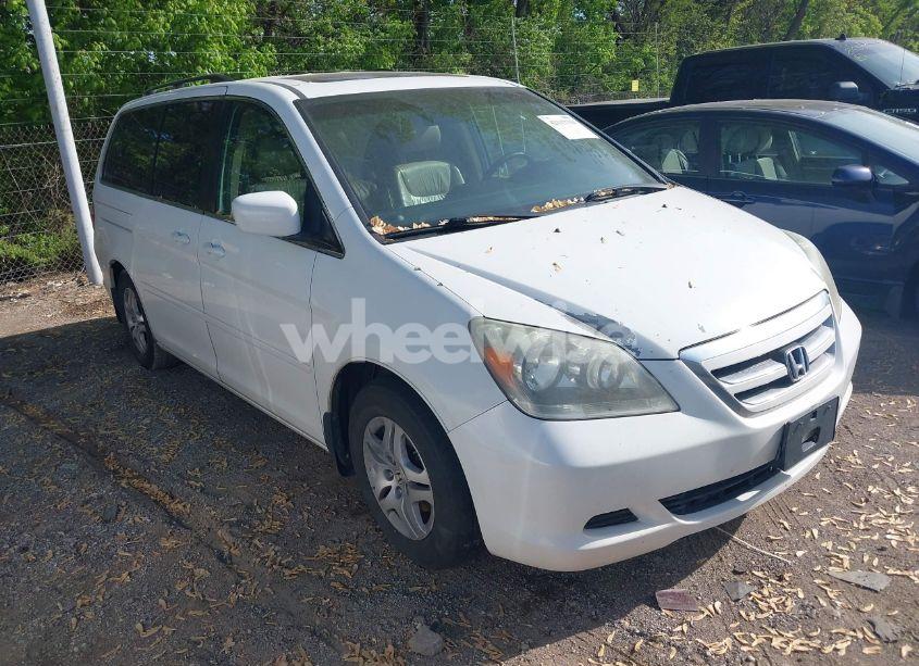 2007 Honda Odyssey EX-L (VIN 5FNRL38707B145049) main photo