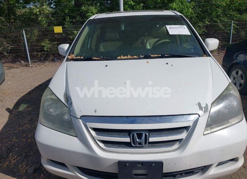 Photo 6 of 2007 Honda Odyssey EX-L (VIN 5FNRL38707B145049)