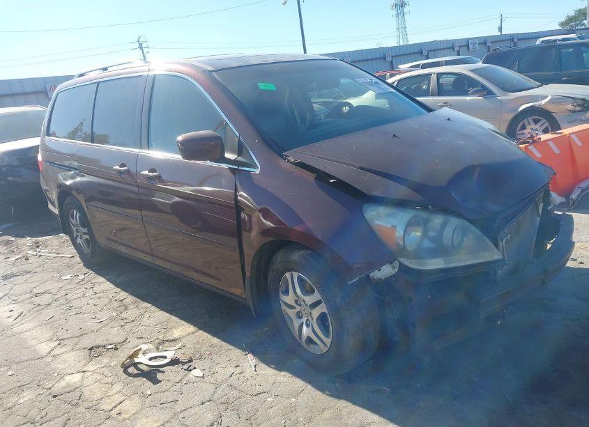 2007 Honda Odyssey EX-L (VIN 5FNRL38707B407989) main photo