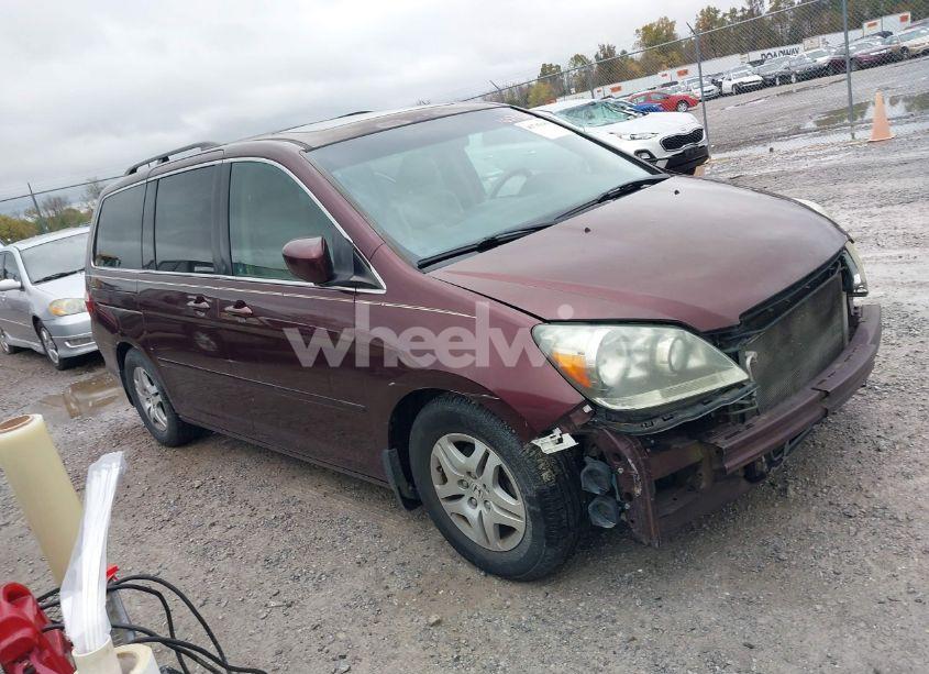 2007 Honda Odyssey EX-L (VIN 5FNRL38707B461437) main photo