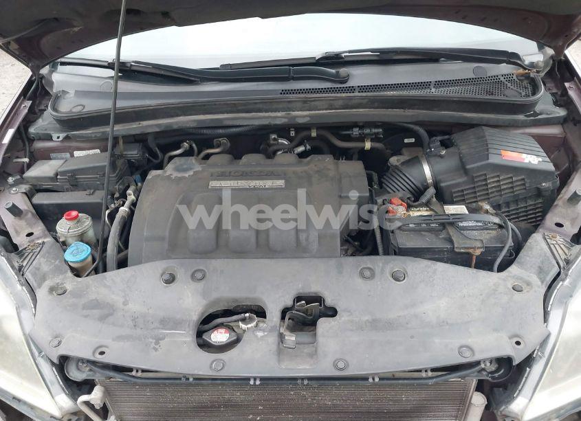 Photo 10 of 2007 Honda Odyssey EX-L (VIN 5FNRL38707B461437)