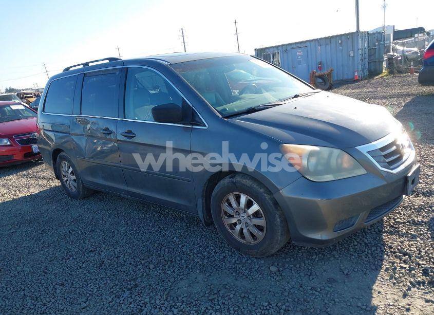 2008 Honda Odyssey EX-L (VIN 5FNRL38708B036284) main photo