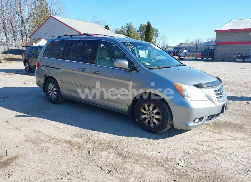 2008 Honda Odyssey EX-L (VIN 5FNRL38708B037595) main photo