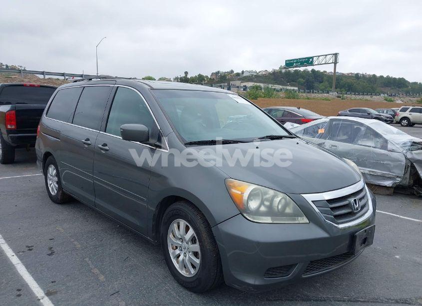 2008 Honda Odyssey EX-L (VIN 5FNRL38708B088921) main photo