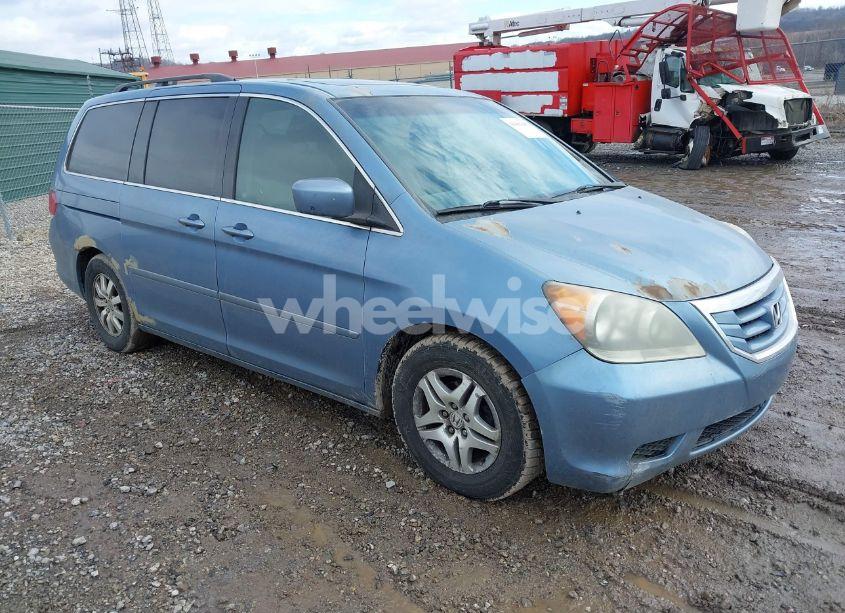 2009 Honda Odyssey EX-L (VIN 5FNRL38709B005151) main photo