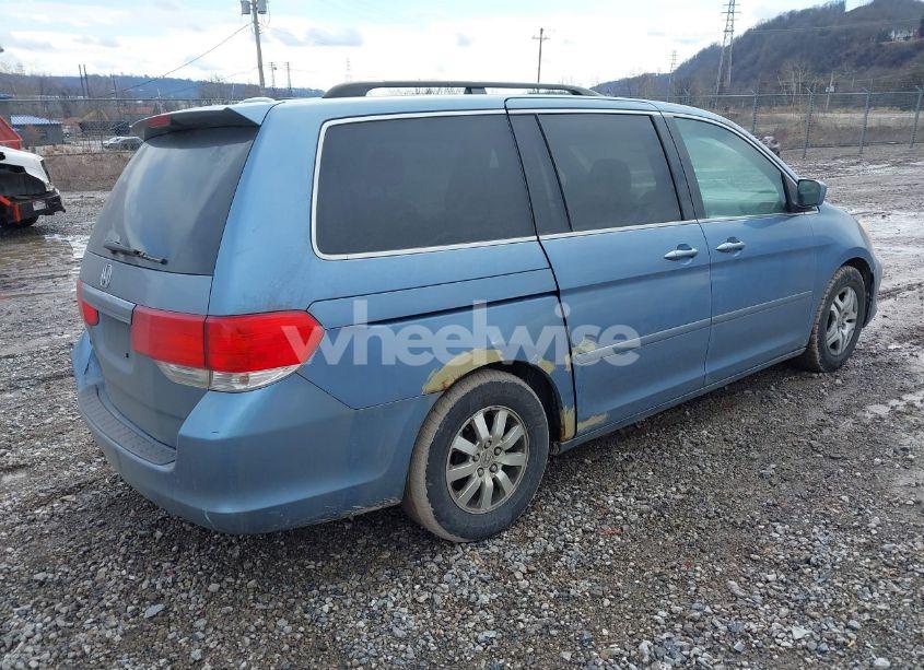 Photo 4 of 2009 Honda Odyssey EX-L (VIN 5FNRL38709B005151)
