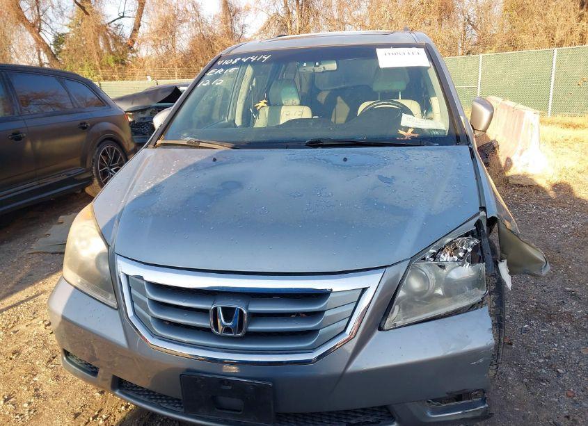 Photo 12 of 2009 Honda Odyssey EX-L (VIN 5FNRL38709B008499)