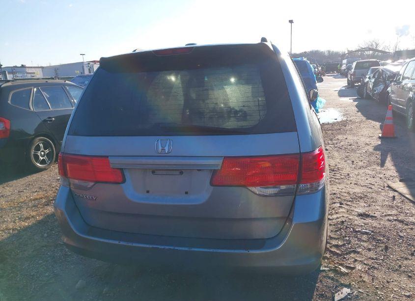 Photo 16 of 2009 Honda Odyssey EX-L (VIN 5FNRL38709B008499)