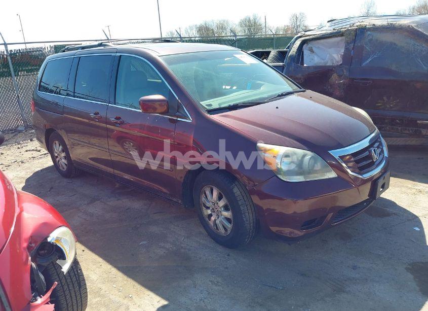 2009 Honda Odyssey EXL (VIN 5FNRL38709B028980) main photo