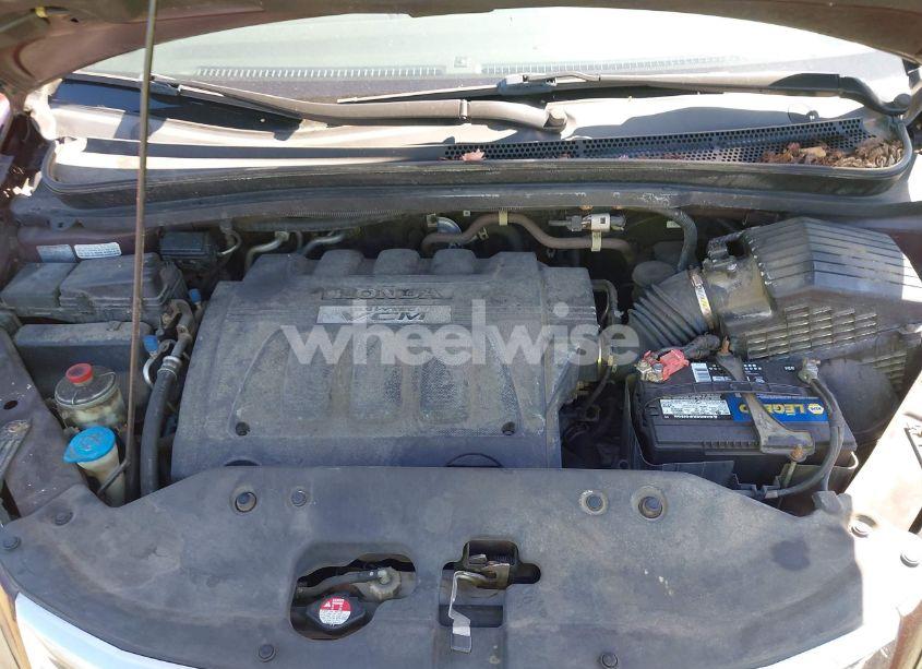 Photo 10 of 2009 Honda Odyssey EXL (VIN 5FNRL38709B028980)