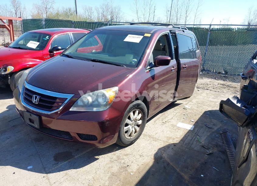 Photo 2 of 2009 Honda Odyssey EXL (VIN 5FNRL38709B028980)