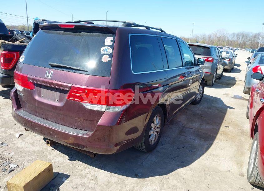 Photo 4 of 2009 Honda Odyssey EXL (VIN 5FNRL38709B028980)