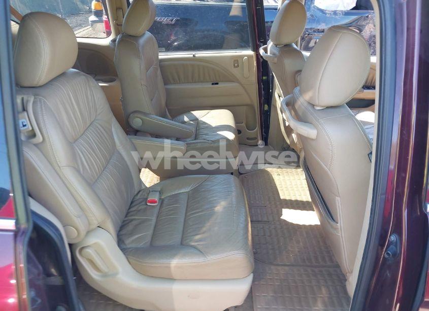 Photo 8 of 2009 Honda Odyssey EXL (VIN 5FNRL38709B028980)