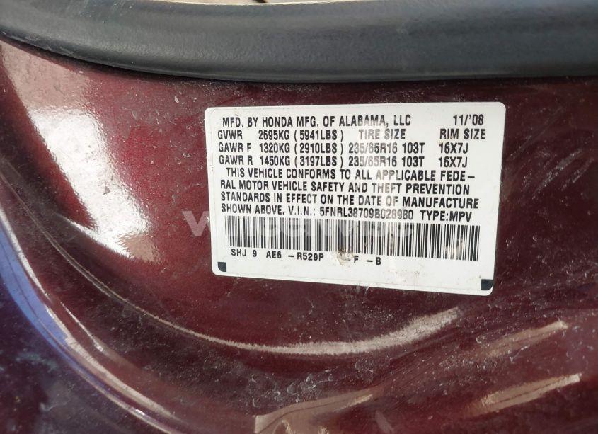 Photo 9 of 2009 Honda Odyssey EXL (VIN 5FNRL38709B028980)