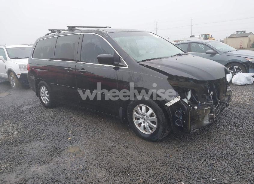 2009 Honda Odyssey EX-L (VIN 5FNRL38709B034326) main photo