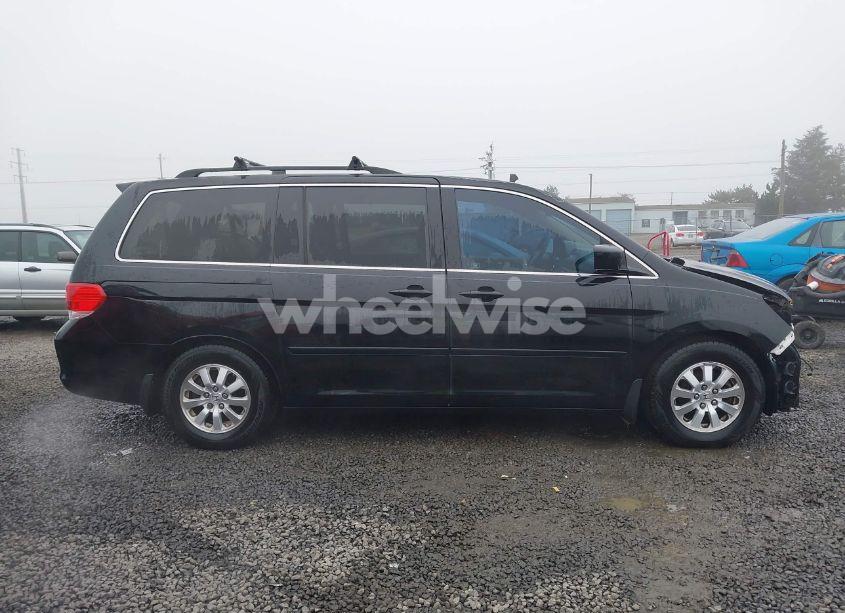 Photo 14 of 2009 Honda Odyssey EX-L (VIN 5FNRL38709B034326)