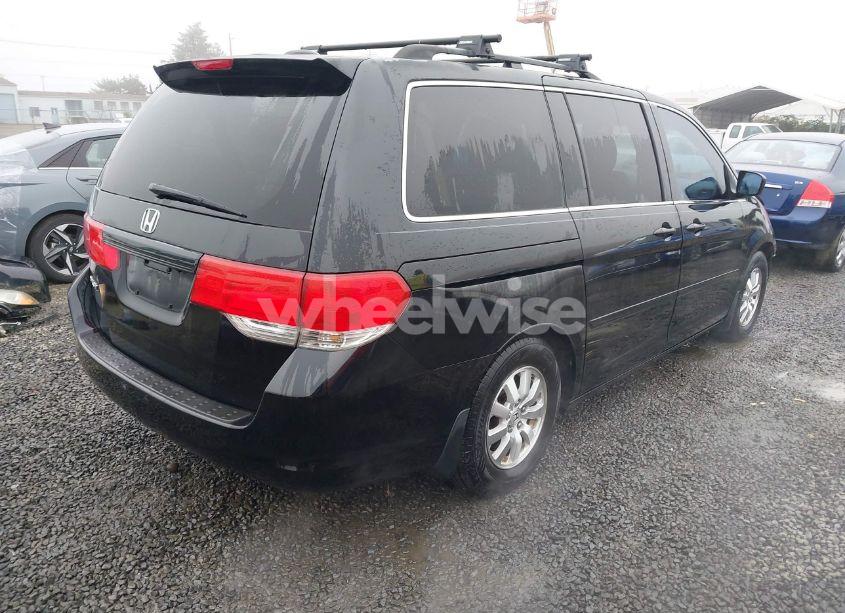 Photo 4 of 2009 Honda Odyssey EX-L (VIN 5FNRL38709B034326)