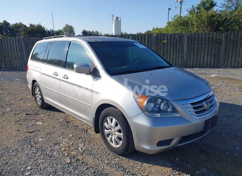 2009 Honda Odyssey EX-L (VIN 5FNRL38709B049084) main photo