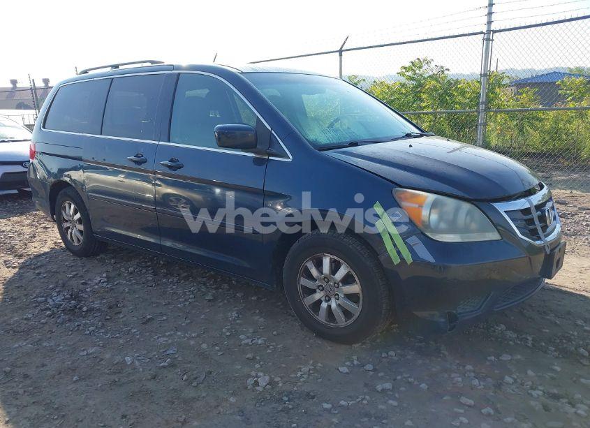 2009 Honda Odyssey EX-L (VIN 5FNRL38709B400804) main photo