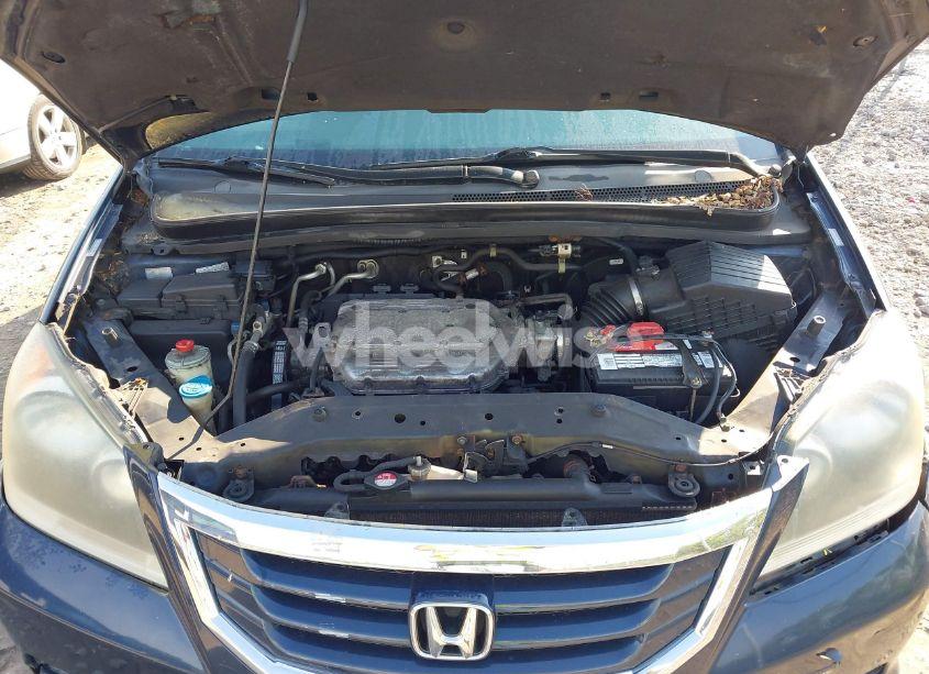 Photo 10 of 2009 Honda Odyssey EX-L (VIN 5FNRL38709B400804)