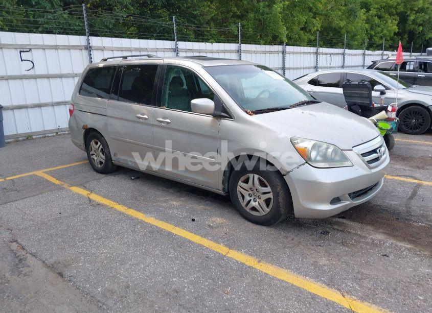 2005 Honda Odyssey EX-L (VIN 5FNRL38715B003399) main photo