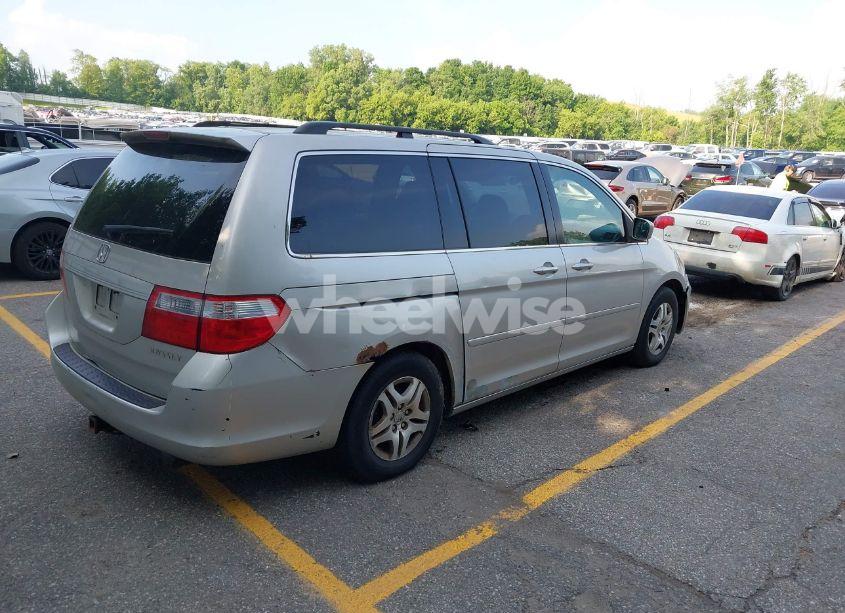 Photo 4 of 2005 Honda Odyssey EX-L (VIN 5FNRL38715B003399)