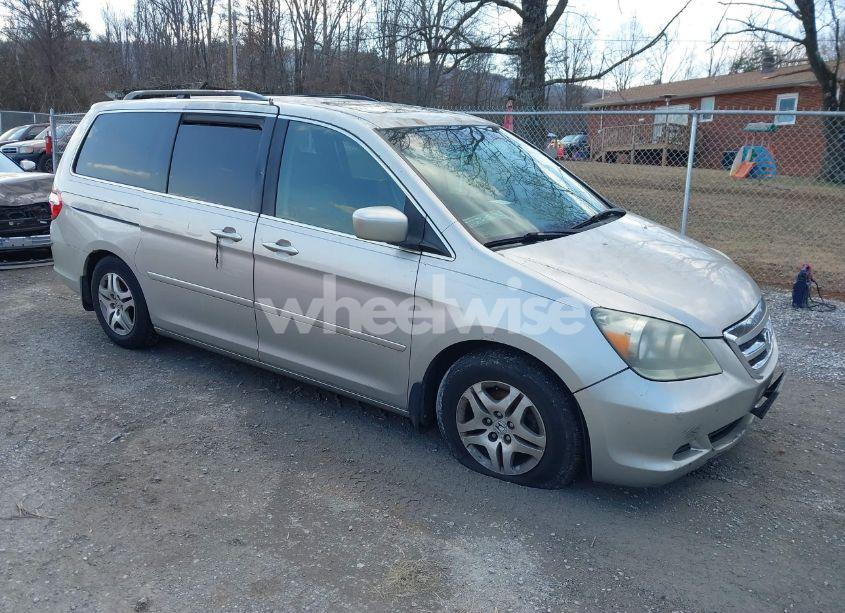2005 Honda Odyssey EX-L (VIN 5FNRL38715B025581) main photo