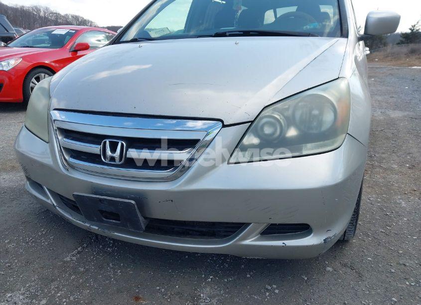 Photo 12 of 2005 Honda Odyssey EX-L (VIN 5FNRL38715B025581)