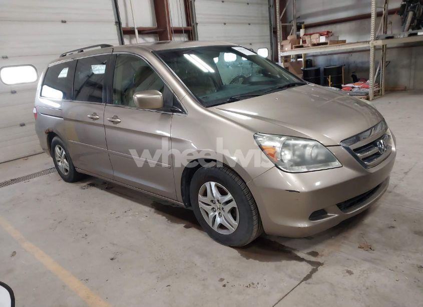 2005 Honda Odyssey EX-L (VIN 5FNRL38715B048942) main photo
