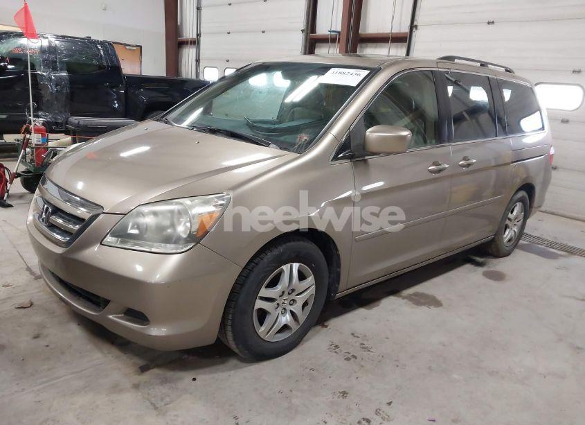 Photo 2 of 2005 Honda Odyssey EX-L (VIN 5FNRL38715B048942)
