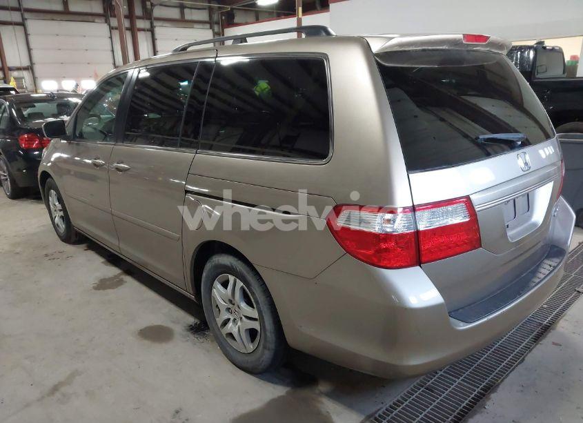 Photo 3 of 2005 Honda Odyssey EX-L (VIN 5FNRL38715B048942)