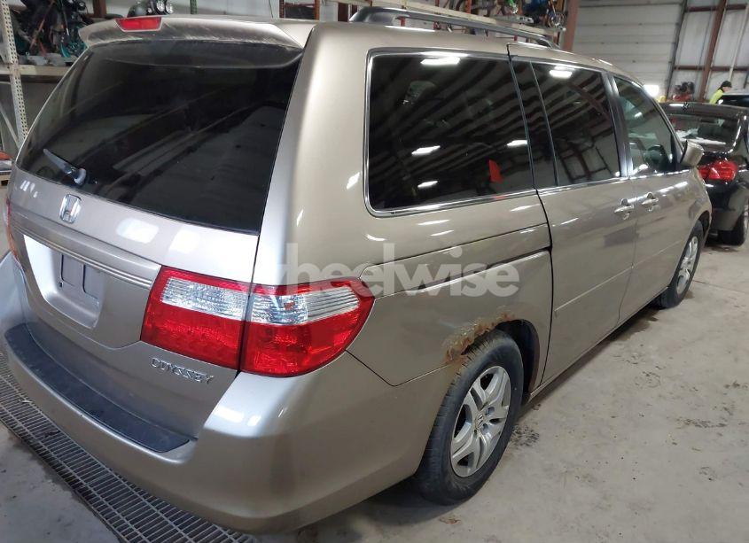 Photo 4 of 2005 Honda Odyssey EX-L (VIN 5FNRL38715B048942)
