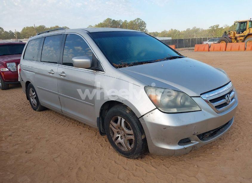 2005 Honda Odyssey EX-L (VIN 5FNRL38715B113112) main photo