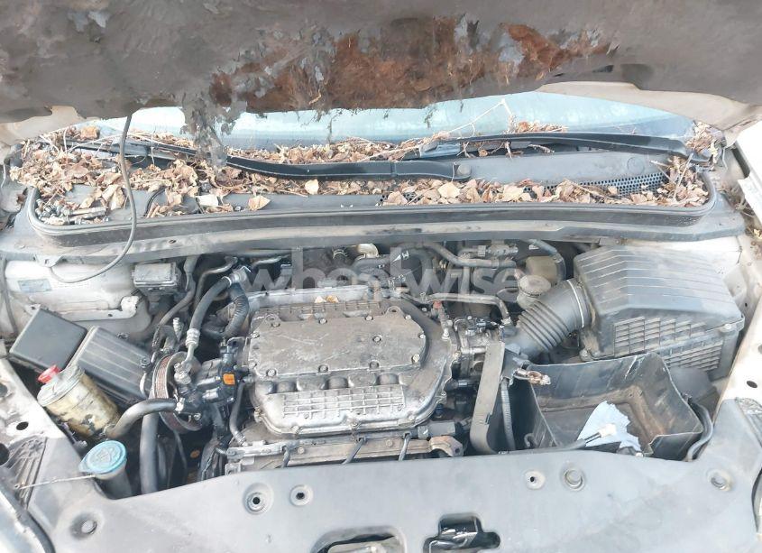 Photo 10 of 2005 Honda Odyssey EX-L (VIN 5FNRL38715B113112)