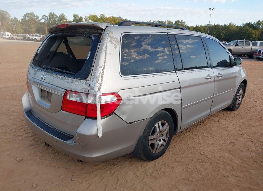 Photo 4 of 2005 Honda Odyssey EX-L (VIN 5FNRL38715B113112)