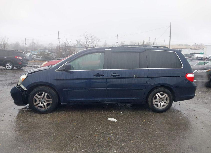 Photo 14 of 2005 Honda Odyssey EX-L (VIN 5FNRL38715B115197)
