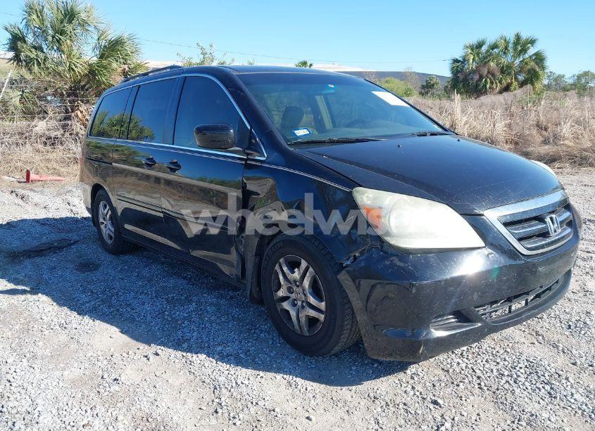 2006 Honda Odyssey EX-L (VIN 5FNRL38716B038672) main photo