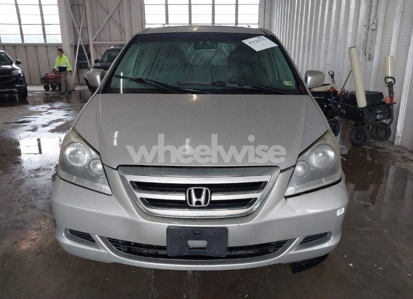 Photo 13 of 2006 Honda Odyssey EX-L (VIN 5FNRL38716B066942)