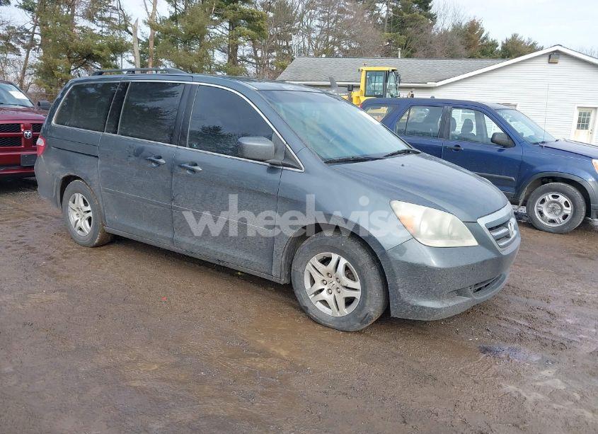 2006 Honda Odyssey EX-L (VIN 5FNRL38716B421026) main photo